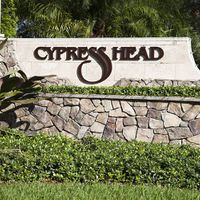 Cypress Head