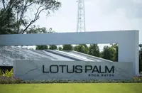 Lotus Palm