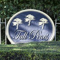 Tall Pines